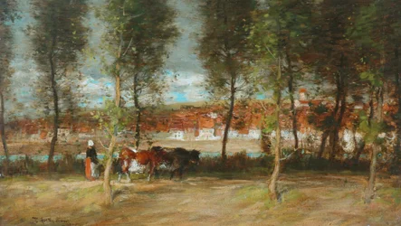 Sonnenschein und Schatten